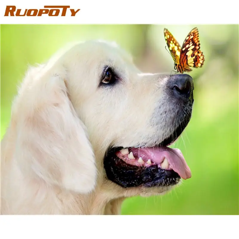 RUOPOTY Butterfly Dog Animal Oil Painting By Numbers For Adults Children Handmade 40x50cm Frame On Canvas Home Living Room Arts
RUOPOTY Butterfly Dog Animal Oil Painting By Numbers For Adults Children Handmade 40x50cm Frame On Canvas Home Living Room Arts