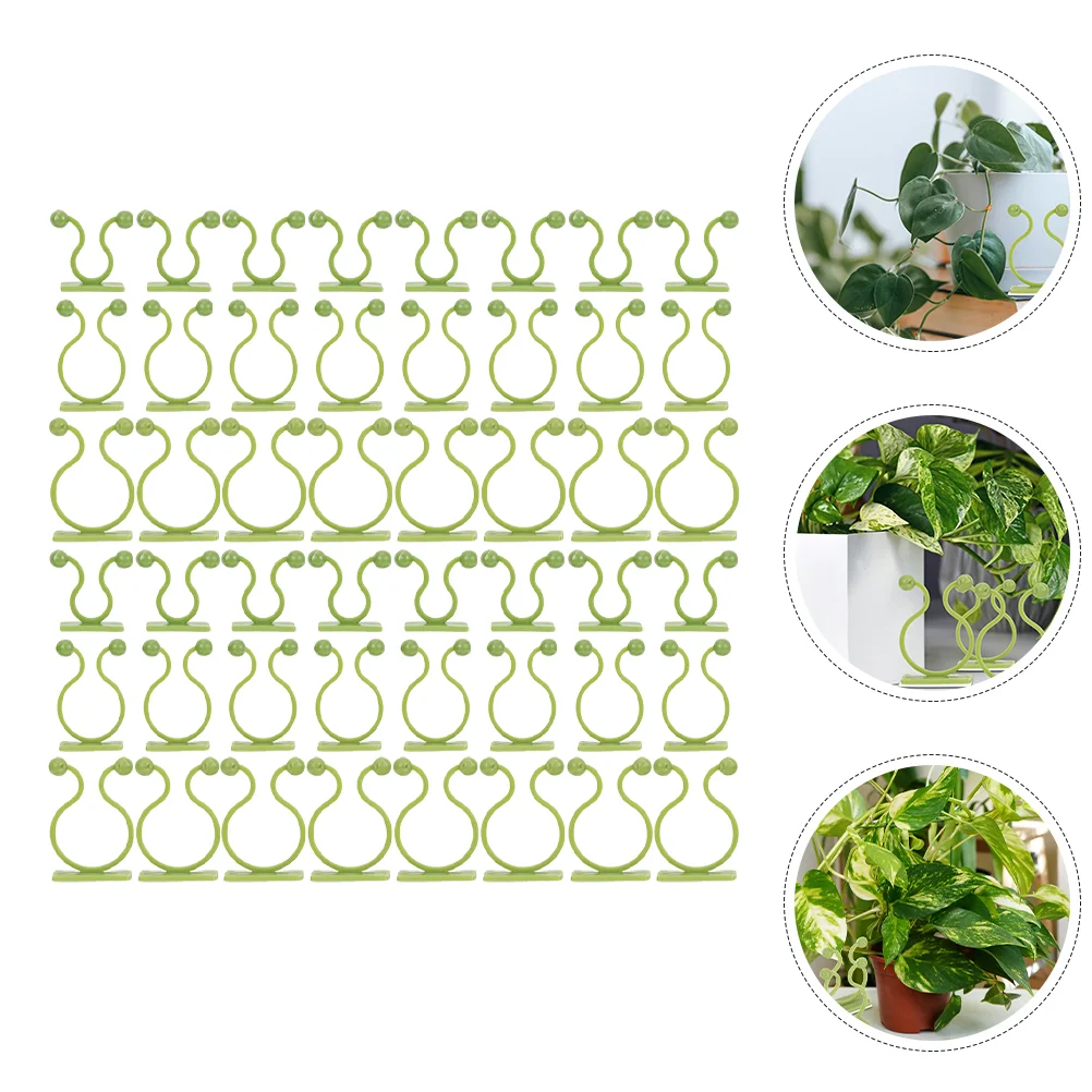 110pcs Wall Plants Climber Sticky Wall Clips Wall Vine Fixture Clips Fixture Clips
110pcs Wall Plants Climber Sticky Wall Clips Wall Vine Fixture Clips Fixture Clips