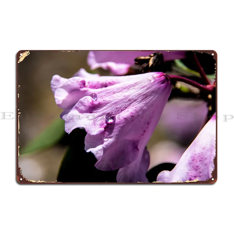 Металлический плакат с изображением роз на Azalea, цветов, паба, кинотеатра
Металлический плакат с изображением роз на Azalea, цветов, паба, кинотеатра