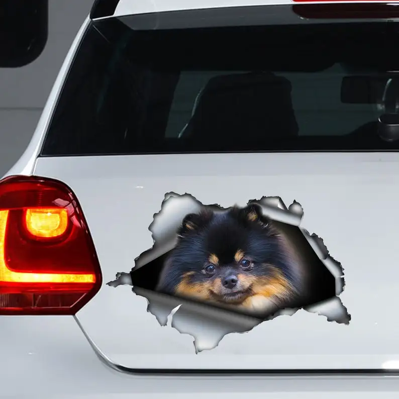 Black and brown Pom decal , Pomeranian magnet, Pomeranian car decal, Pom car sticker
Black and brown Pom decal , Pomeranian magnet, Pomeranian car decal, Pom car sticker
