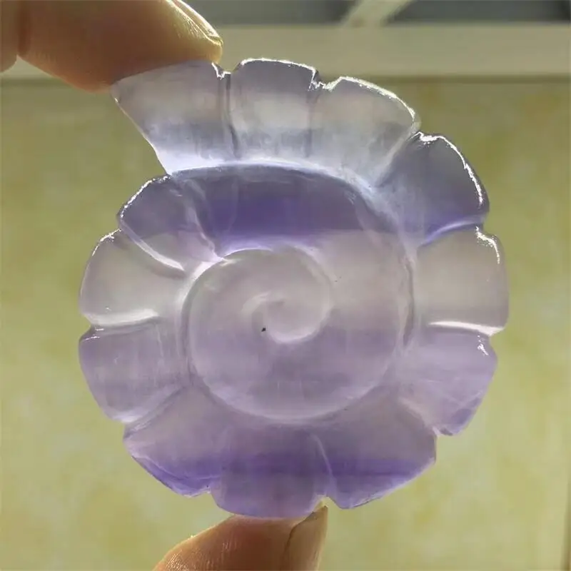 1PC Natural Crystals Fluorite Snail Carvings Healing Crafts Reiki Christmas Ornaments Home Decoration
1PC Natural Crystals Fluorite Snail Carvings Healing Crafts Reiki Christmas Ornaments Home Decoration