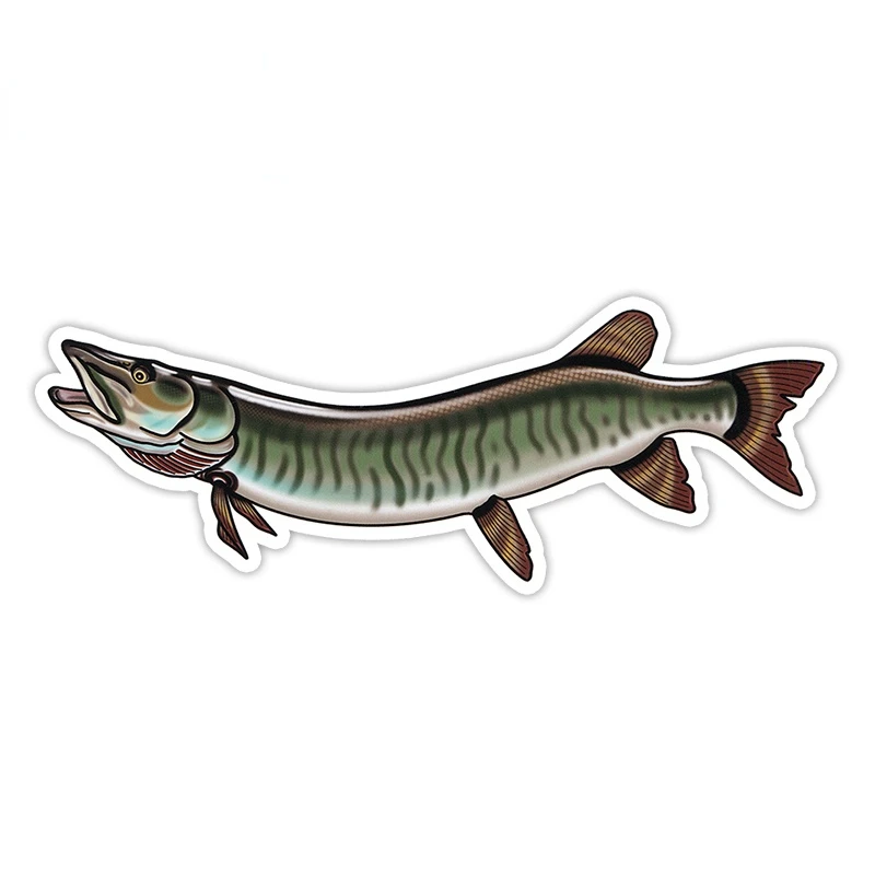 car sticker High Quality Musky Fish Cartoon Car Sticker Creativite VAN Motorcycle Decal Waterproof Scratch-Proof Car Styling
car sticker High Quality Musky Fish Cartoon Car Sticker Creativite VAN Motorcycle Decal Waterproof Scratch-Proof Car Styling