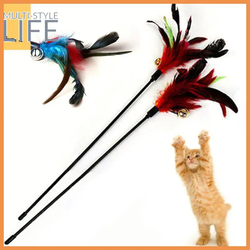 2020 1Pcs New Cat Stick Interactive Feather Toy Cat Random Color Feather Small Bell Toy Tease Cats Stick Pet Supplies Pet tool
2020 1Pcs New Cat Stick Interactive Feather Toy Cat Random Color Feather Small Bell Toy Tease Cats Stick Pet Supplies Pet tool