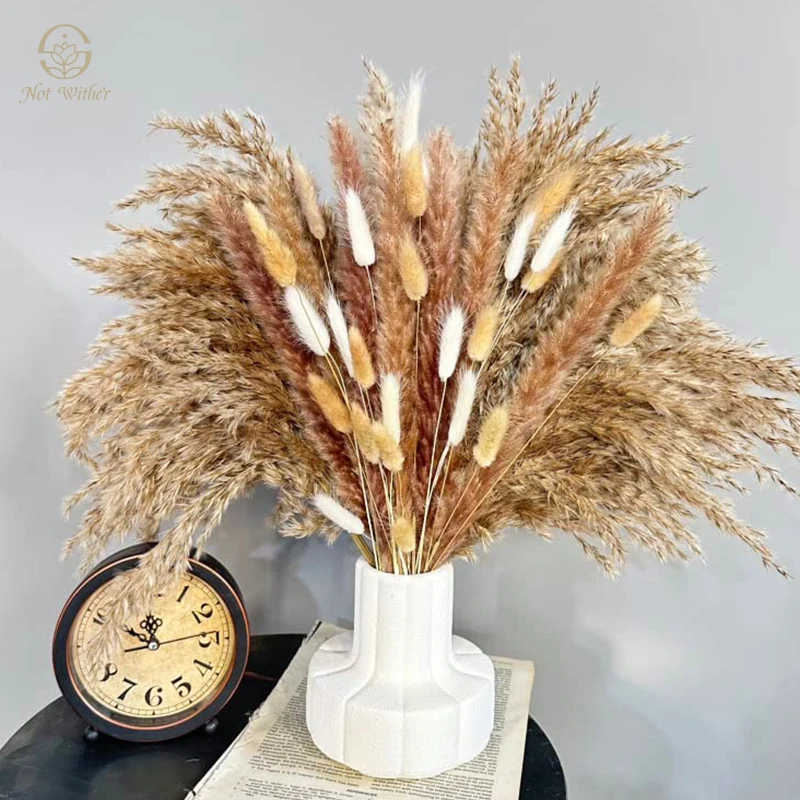 Dried Flowers Natural Fluffy Pampas Bouquet Wedding Decoration Table Photography Props Boho home deco rations Artificial Flower
Dried Flowers Natural Fluffy Pampas Bouquet Wedding Decoration Table Photography Props Boho home deco rations Artificial Flower