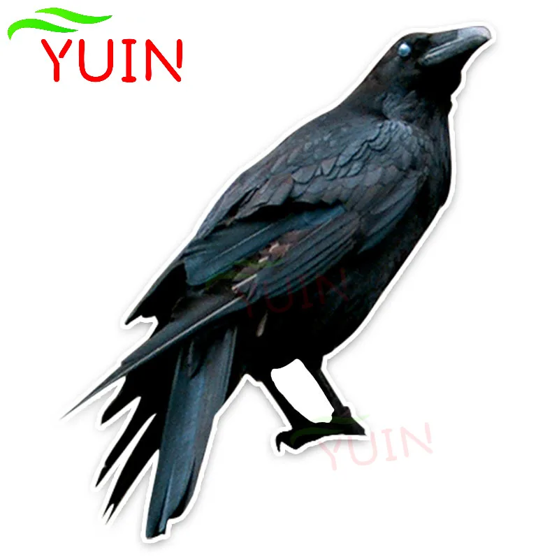 YUIN Personalized Car Sticker Unique Raven Decals Fashion PVC Bumper Decoration Accessories Accessories Waterproof Decal 16*13cm
YUIN Personalized Car Sticker Unique Raven Decals Fashion PVC Bumper Decoration Accessories Accessories Waterproof Decal 16*13cm
