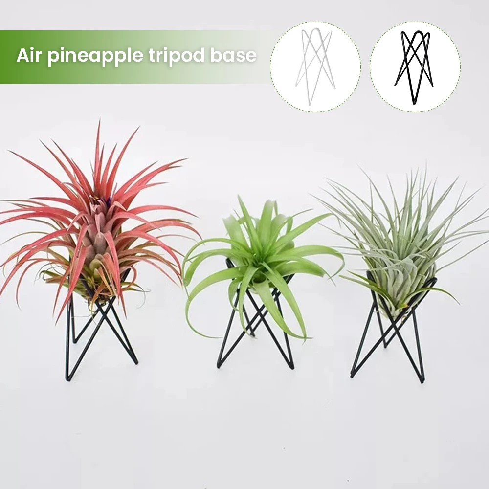 Plant Stands Indoor Geometric Tripod Hollow Metal Wire Flower Pot Base Bracket 10cm Height Potted Plants Display CLH@8
Plant Stands Indoor Geometric Tripod Hollow Metal Wire Flower Pot Base Bracket 10cm Height Potted Plants Display CLH@8