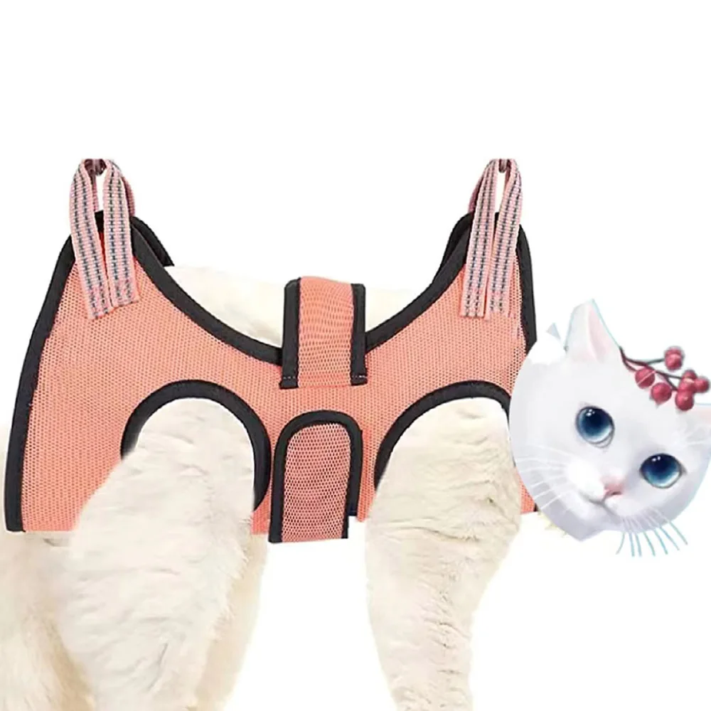 Pet Grooming Hammock Small And Medium Cats And Dogs Nail Trimming Care Bath Cleaning Ear Aid Binding Bag Accessories Supply
Pet Grooming Hammock Small And Medium Cats And Dogs Nail Trimming Care Bath Cleaning Ear Aid Binding Bag Accessories Supply