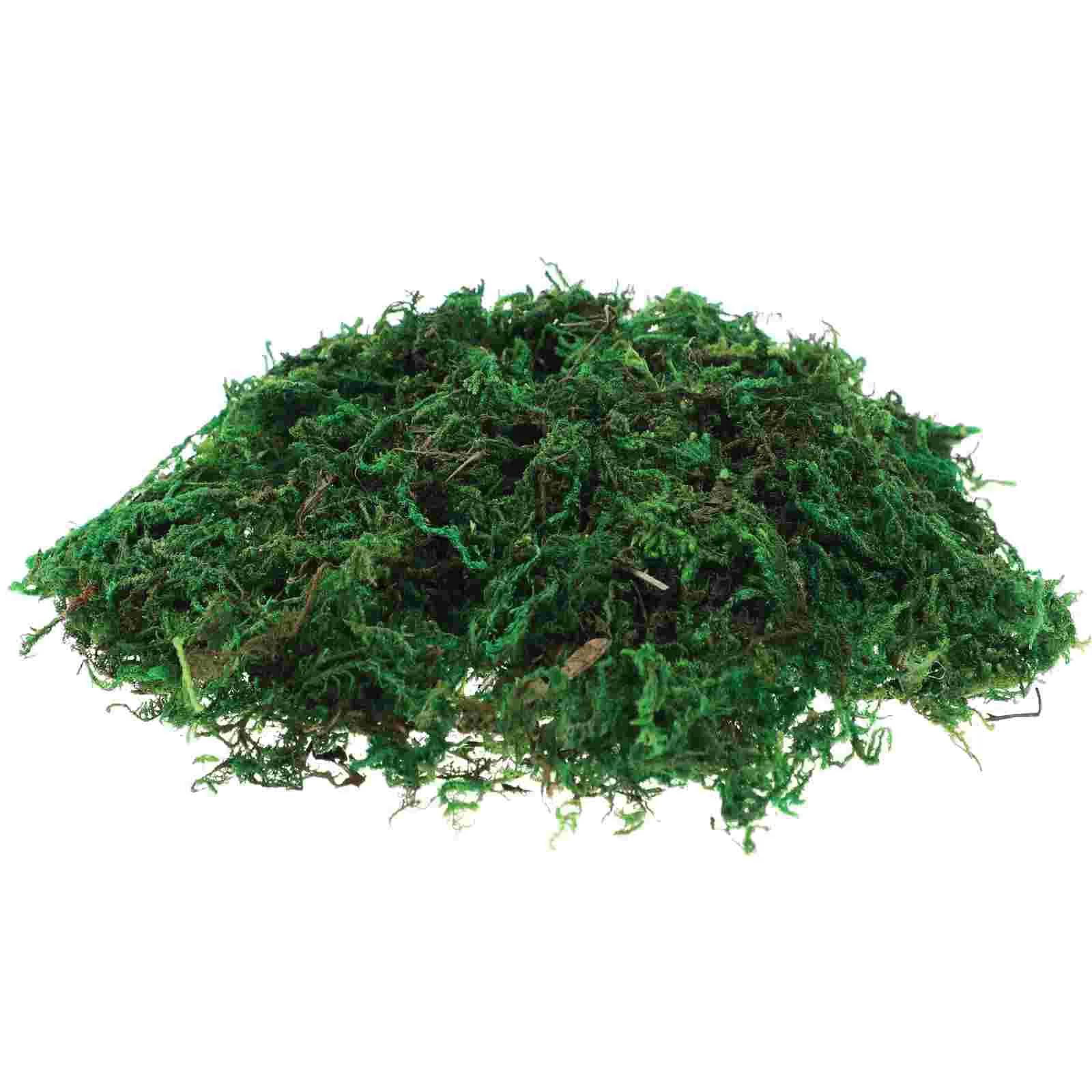 Preserved Moss Bonsai Green Plants Aftificial Fake Centerpieces Potted Decorative
Preserved Moss Bonsai Green Plants Aftificial Fake Centerpieces Potted Decorative