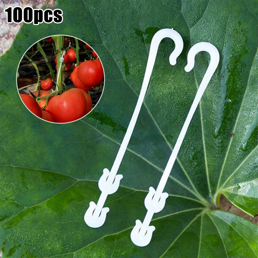 100pcs Tomato J-hook Plastic Vegetable Fruit Cherry Grape Vine Fixed Buckle Hook Plant Support Clip Fastener Garden Supplies
100pcs Tomato J-hook Plastic Vegetable Fruit Cherry Grape Vine Fixed Buckle Hook Plant Support Clip Fastener Garden Supplies