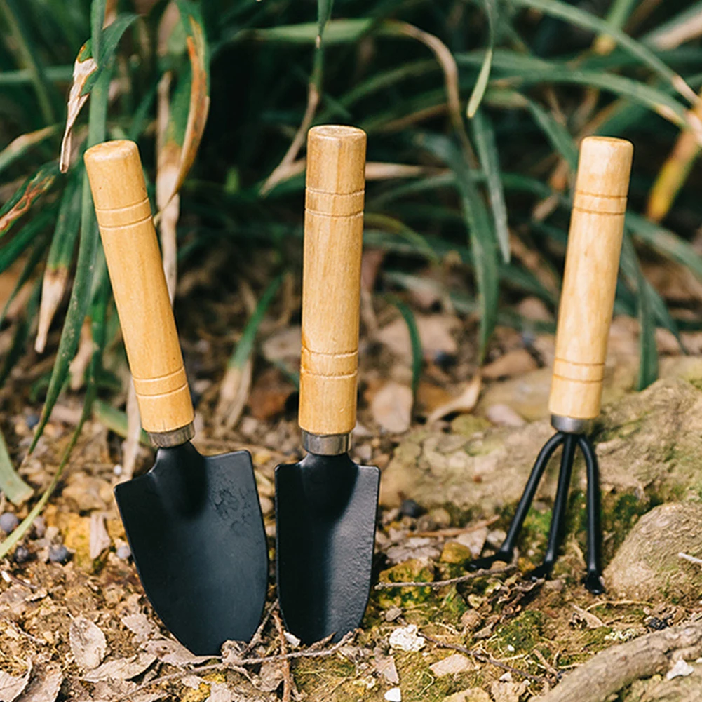 3pcs Mini Garden Shovel Rake Spade Erramientas Bonsai Tools Set Wooden Handle For Flowers Potted Plant Dropshipping New
3pcs Mini Garden Shovel Rake Spade Erramientas Bonsai Tools Set Wooden Handle For Flowers Potted Plant Dropshipping New