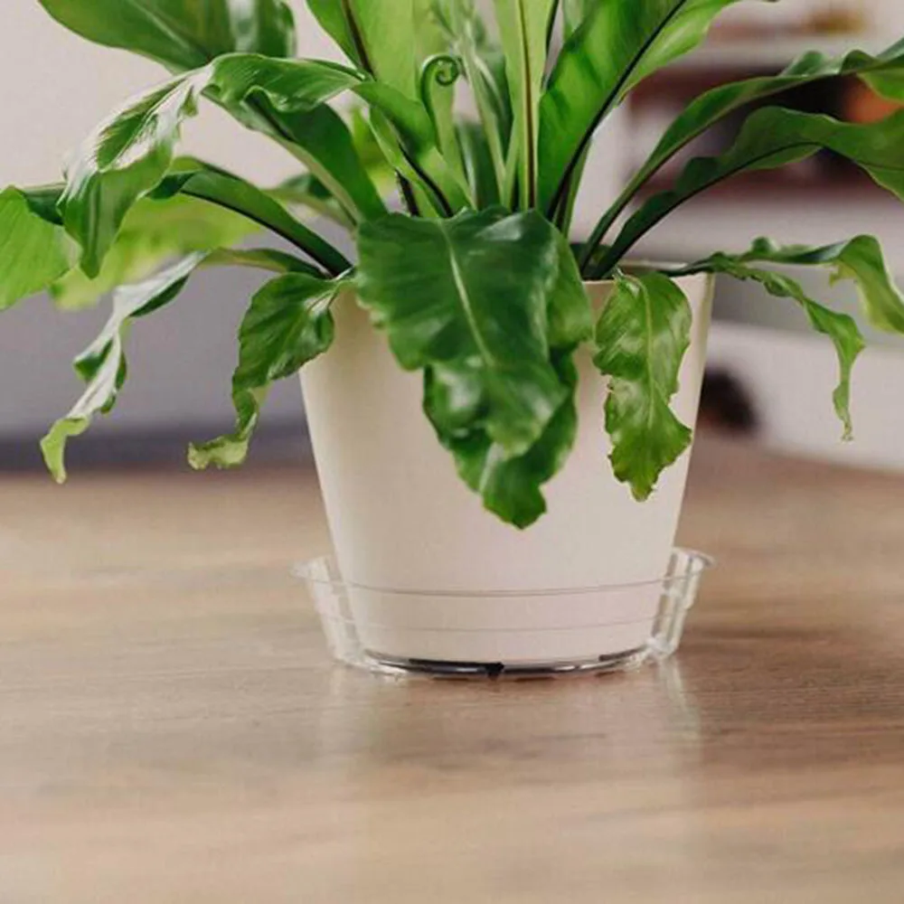 10pcs Garden Plant Saucer Drip Tray Round Pot Base Clear Snack Candy Tray Container PET Outdoor Home Garden Flower Pot Supplies
10pcs Garden Plant Saucer Drip Tray Round Pot Base Clear Snack Candy Tray Container PET Outdoor Home Garden Flower Pot Supplies