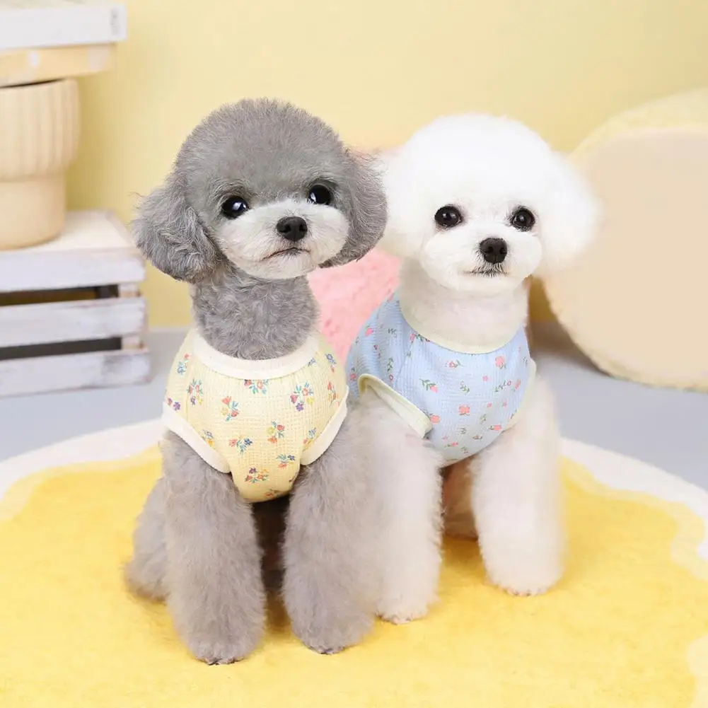 Lovely Pet Pullover Bright Color Dog Vest Eye-catching Floral Pattern Pet Dog Puppy Vest Clothes Decorative
Lovely Pet Pullover Bright Color Dog Vest Eye-catching Floral Pattern Pet Dog Puppy Vest Clothes Decorative