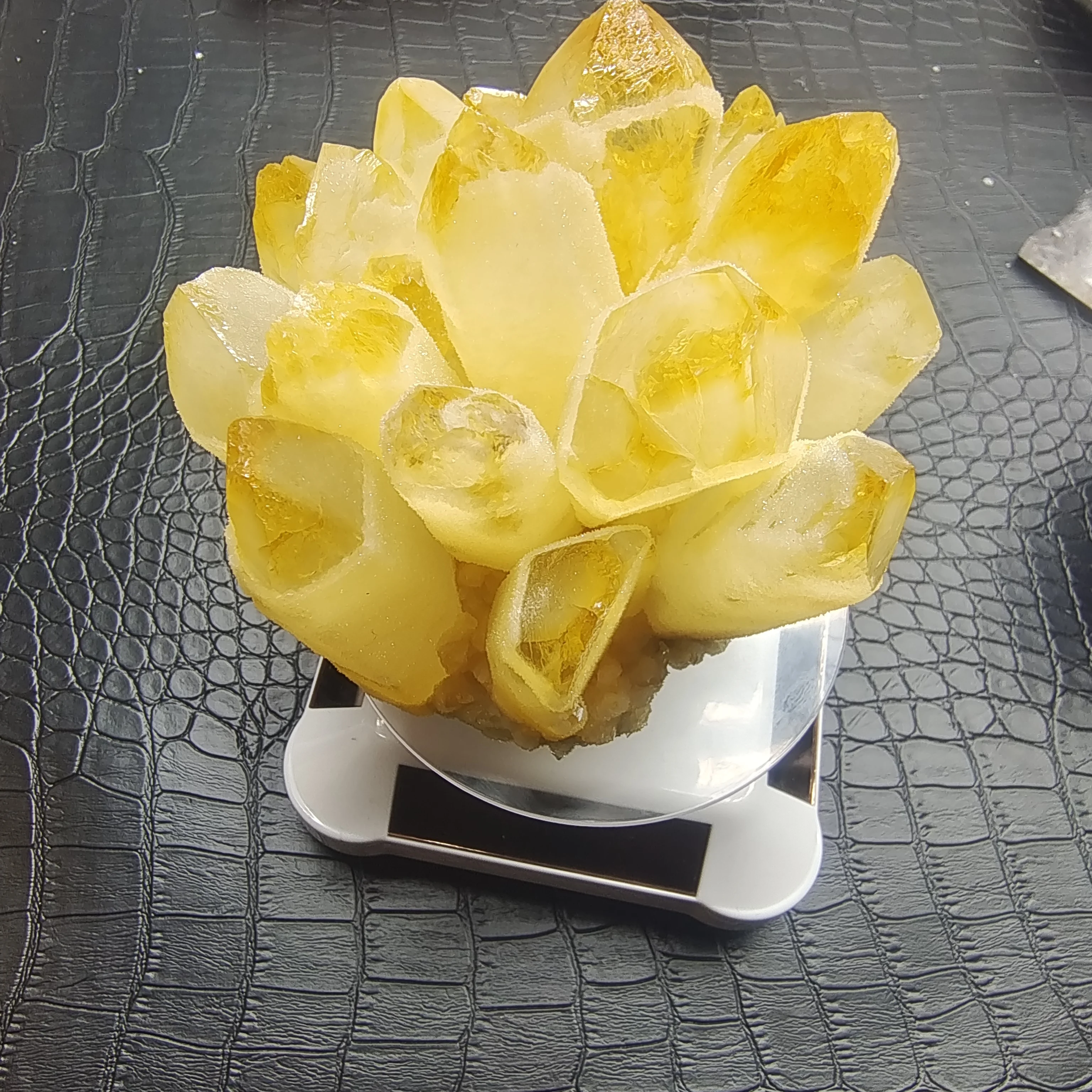 Natural Rare yellow Quartz Crystal Cluster Mineral Specimen Healing Aquarium Home Decor Crafts
Natural Rare yellow Quartz Crystal Cluster Mineral Specimen Healing Aquarium Home Decor Crafts