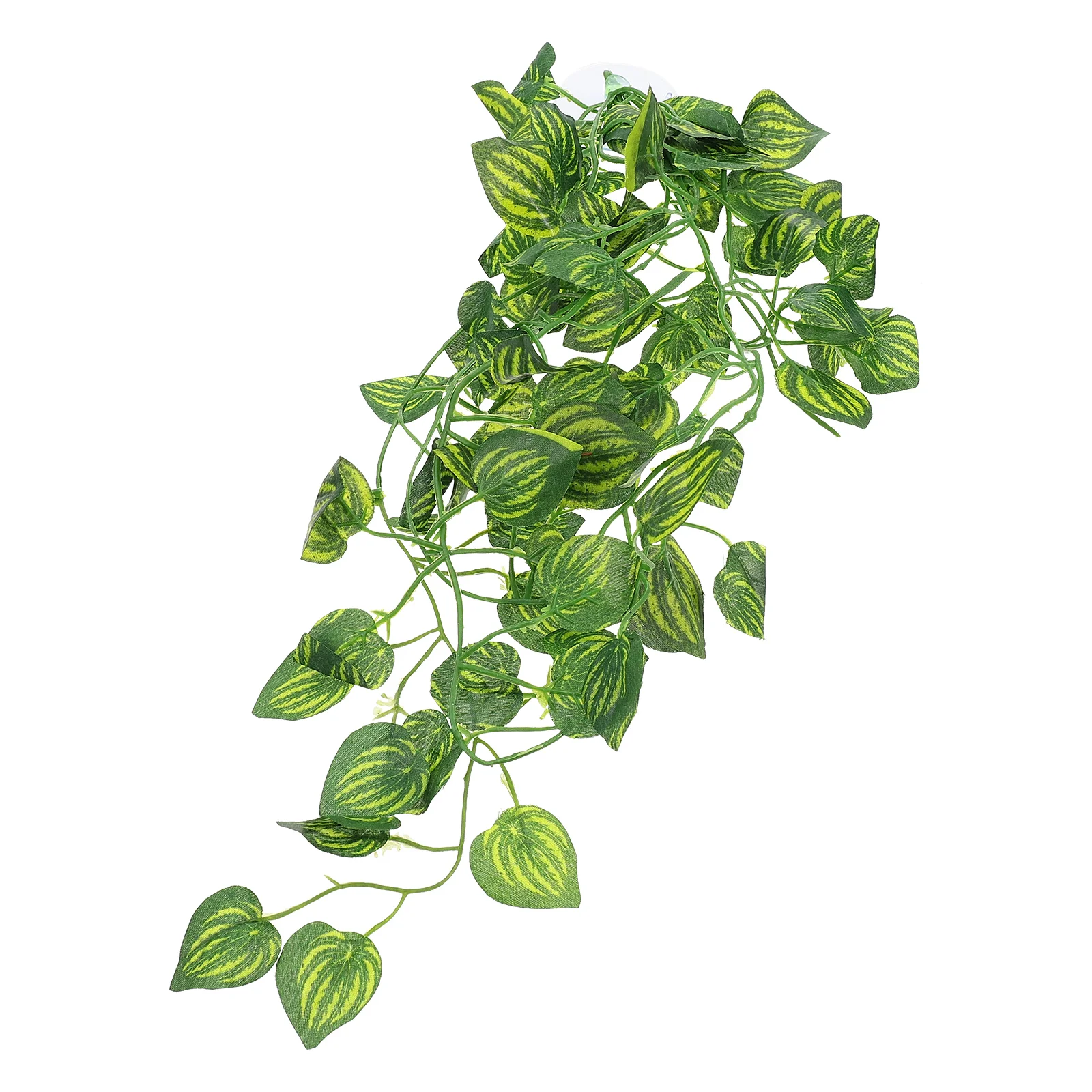 Terrariumaquarium Reptile Vine Decorations Leaves Decor Tank Fishbearded Dragon Habitats Ornament Animal Ocean Accessory 
Terrariumaquarium Reptile Vine Decorations Leaves Decor Tank Fishbearded Dragon Habitats Ornament Animal Ocean Accessory
