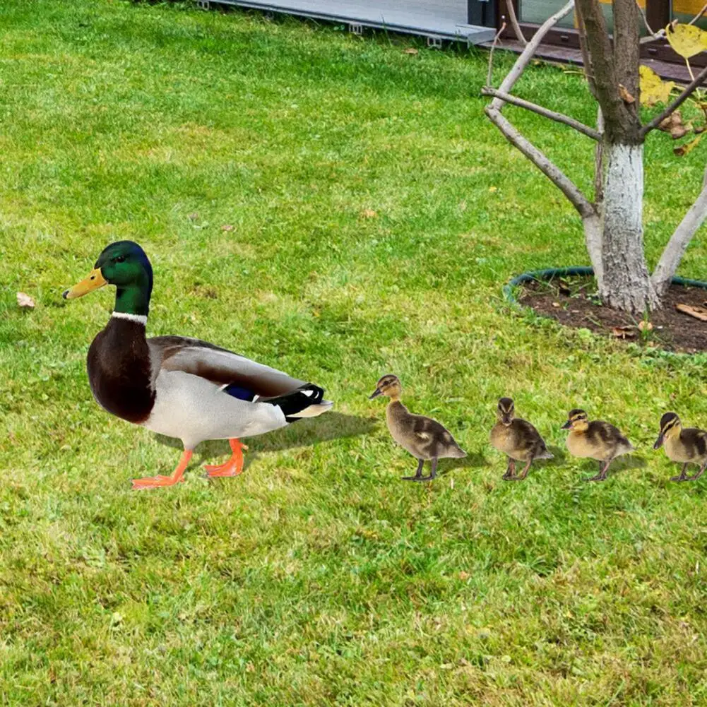 Acrylic Duck Stakes 5Pcs/Set Chic Cute Duckling Animal Figure Outdoor Lawn Poultry Insert Art Signs Outdoor Decor
Acrylic Duck Stakes 5Pcs/Set Chic Cute Duckling Animal Figure Outdoor Lawn Poultry Insert Art Signs Outdoor Decor