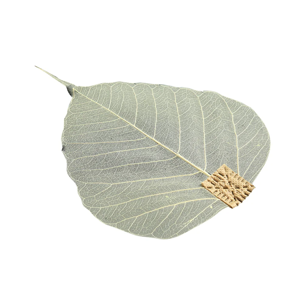 Tea Interval Diffuser Tea Leaker Mesh Tea Infuser Loose Tea Brewing Coffee Infuser Tea Infuser 
Tea Interval Diffuser Tea Leaker Mesh Tea Infuser Loose Tea Brewing Coffee Infuser Tea Infuser