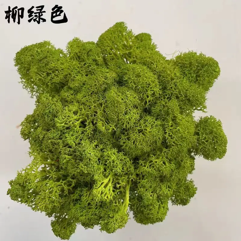 Искусственные растения 20г
Искусственные растения 20г