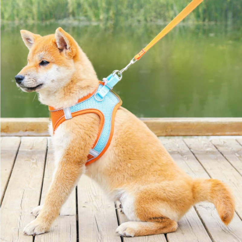 Puppy Vest Harness Hand Leash Cat Breathable Chest Strap Pet Leash Suitable For Small And Medium-sized Dogs to Walk the Dog
Puppy Vest Harness Hand Leash Cat Breathable Chest Strap Pet Leash Suitable For Small And Medium-sized Dogs to Walk the Dog
