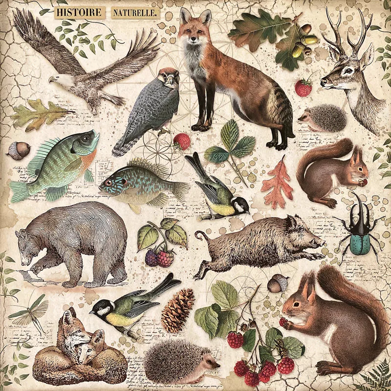vintage animals Stickers Crafts And Scrapbooking stickers kids toys book Decorative sticker DIY Stationery
vintage animals Stickers Crafts And Scrapbooking stickers kids toys book Decorative sticker DIY Stationery