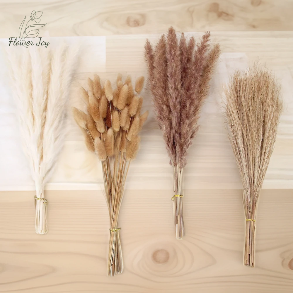 Natural Dried Flowers Pampas Phragmites Rabbit Tail Grass Bouquet for Boho Nordic Home Decor Wedding Christmas Autumn Decoration
Natural Dried Flowers Pampas Phragmites Rabbit Tail Grass Bouquet for Boho Nordic Home Decor Wedding Christmas Autumn Decoration
