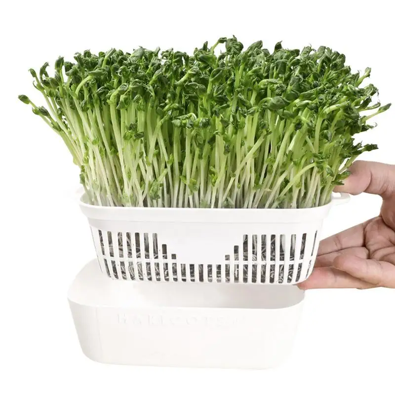 Sprout Growing Container Hydroponic Grow Tray Double Layer Design Heat Resistant Sprout Maker Trays For Various Bean Sprouts
Sprout Growing Container Hydroponic Grow Tray Double Layer Design Heat Resistant Sprout Maker Trays For Various Bean Sprouts