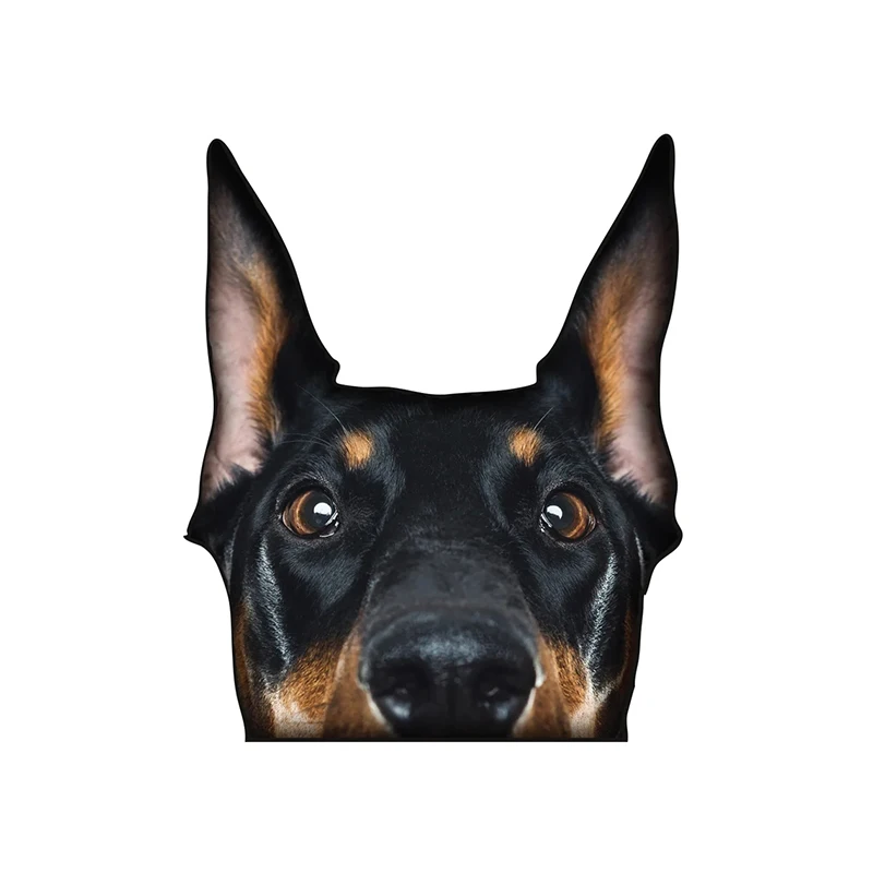 Автомобильная наклейка Доберман Собака Домашнее животное Водонепроницаемая виниловая наклейка Автомобильные аксессуары Декор Pegatinas Para Coche # V1363
Автомобильная наклейка Доберман Собака Домашнее животное Водонепроницаемая виниловая наклейка Автомобильные аксессуары Декор Pegatinas Para Coche # V1363