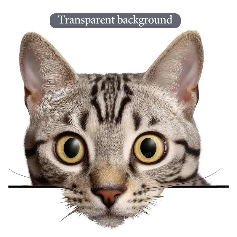 Красивая выглядывающая кошка, прозрачная фоновая наклейка, применяется для стены, двери, шкафа, украшения окна, водонепроницаемые наклейки S803
Красивая выглядывающая кошка, прозрачная фоновая наклейка, применяется для стены, двери, шкафа, украшения окна, водонепроницаемые наклейки S803
