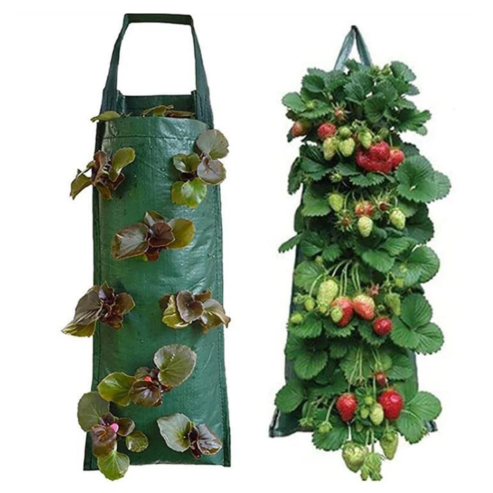 Fabric Tomato Strawberry Hanging Planter Flower Pouch Trailing Plants Grow Bag Planting Bags For Patios Small Gardens Balconies
Fabric Tomato Strawberry Hanging Planter Flower Pouch Trailing Plants Grow Bag Planting Bags For Patios Small Gardens Balconies