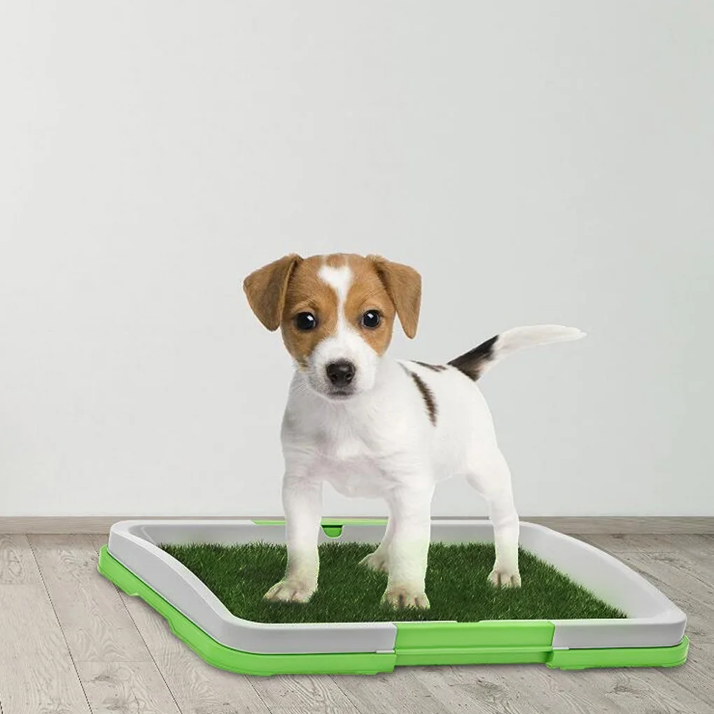 Portable Simulation Pets Realistic Toilet Tray Training Pad Artificial Absorbent Grass Mat Landscape Supplies Indoor
Portable Simulation Pets Realistic Toilet Tray Training Pad Artificial Absorbent Grass Mat Landscape Supplies Indoor