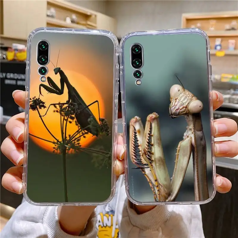 Insect Phone Case For Xiaomi 11 Redmi Note 11pro5G 8 8T 9 9A 9S 10 K30 10T Pro Ultra K40pro Transparent Case
Insect Phone Case For Xiaomi 11 Redmi Note 11pro5G 8 8T 9 9A 9S 10 K30 10T Pro Ultra K40pro Transparent Case
