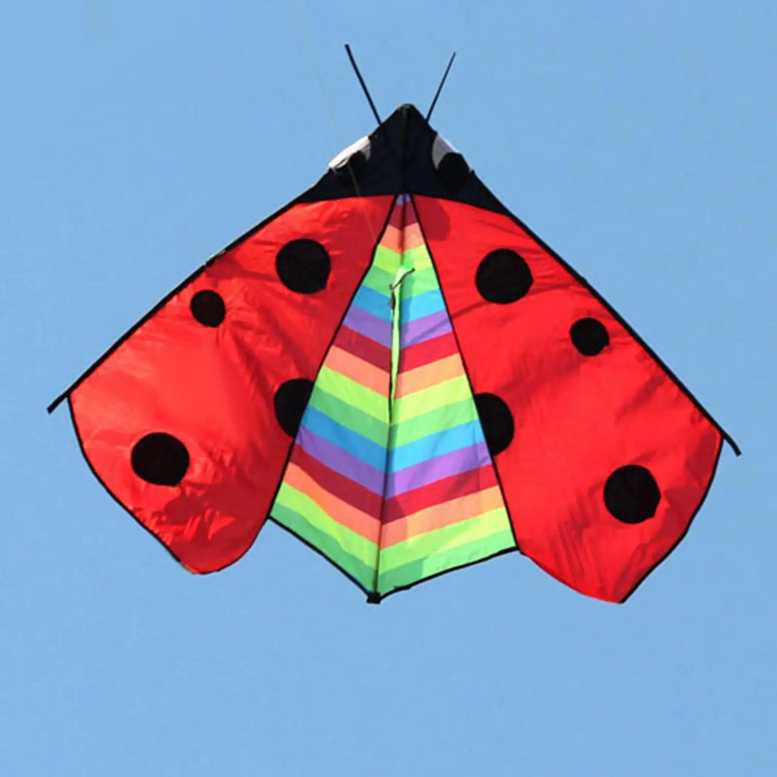

Vivid Delta Kite Fly Kite Single Line Fun Toy Easy to Fly Huge Wingspan Windsock Giant Triangle Ladybug Kite for Garden Sports