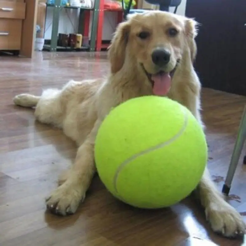 

Теннисные мячи для собак 9,5 дюйма, гигантские игрушки для домашних животных для жевания, подпись Mega Jumbo, детские товары для тренировок, Пряма...