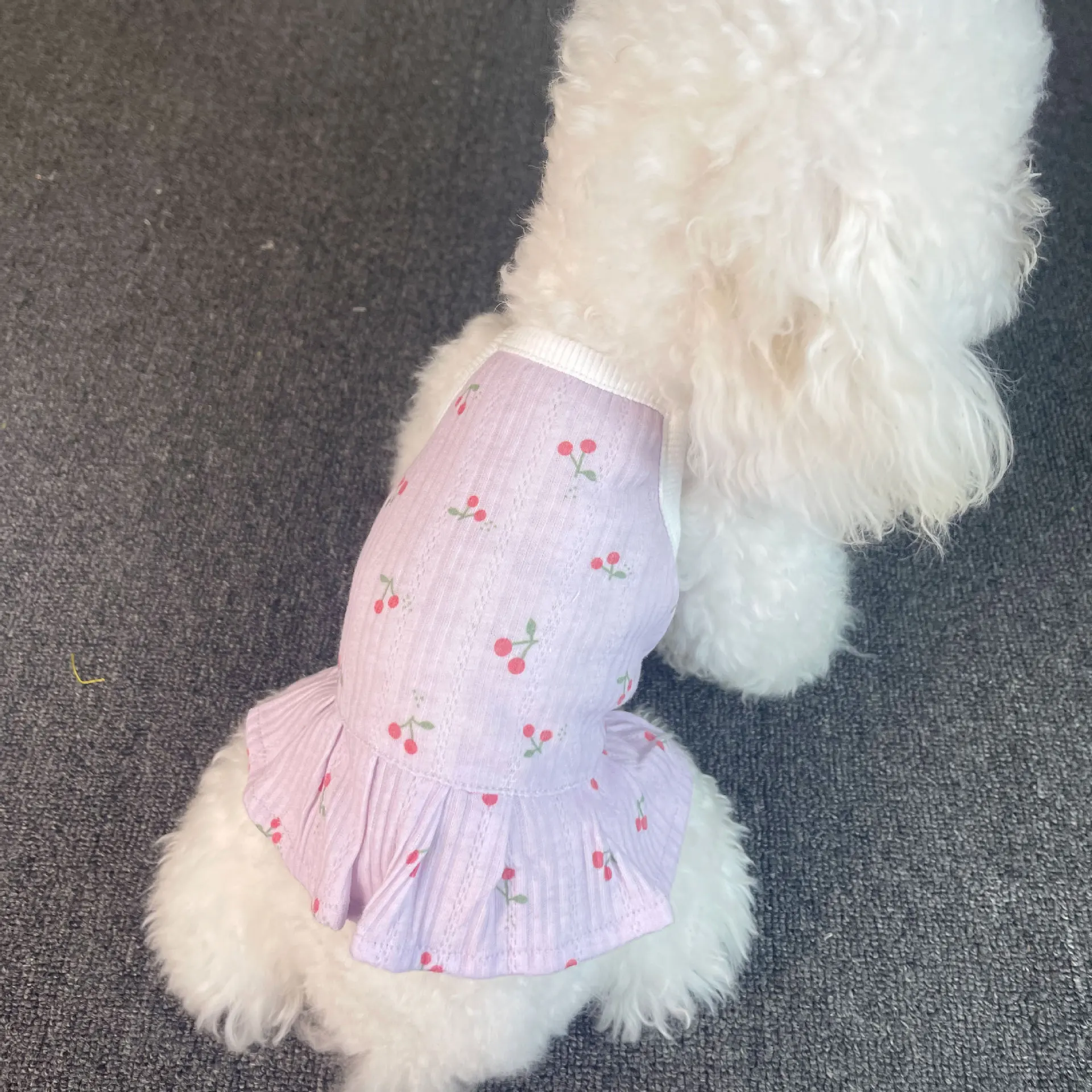 Dog Cherry stripe Cat Jurk House Animal Costume Zomer Jarretel Dress Teddy Bee Male costume Dunne part
Dog Cherry stripe Cat Jurk House Animal Costume Zomer Jarretel Dress Teddy Bee Male costume Dunne part