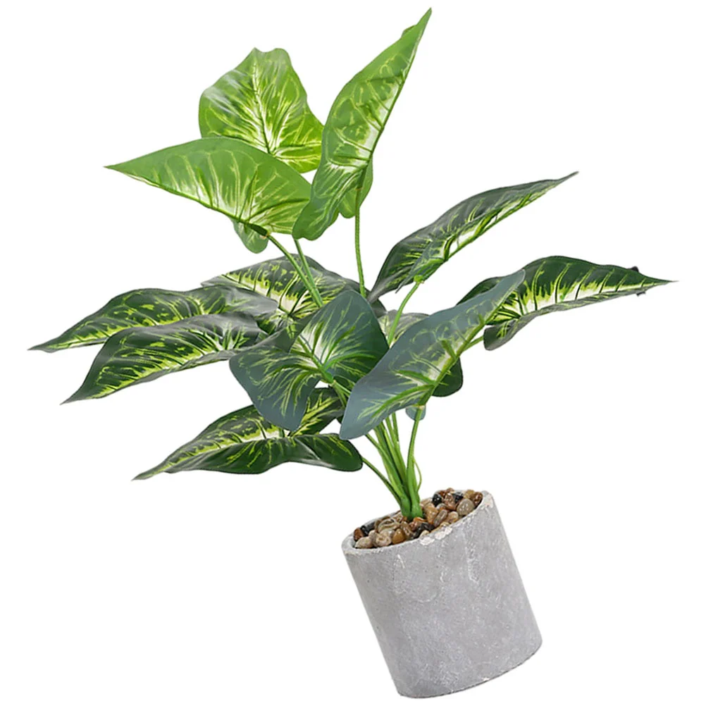 Imitated Lasting Widely- Realistic Fake Decorative Plants Pot Household Fake Bonsai Simulated Bonsai for Gift Option
Imitated Lasting Widely- Realistic Fake Decorative Plants Pot Household Fake Bonsai Simulated Bonsai for Gift Option
