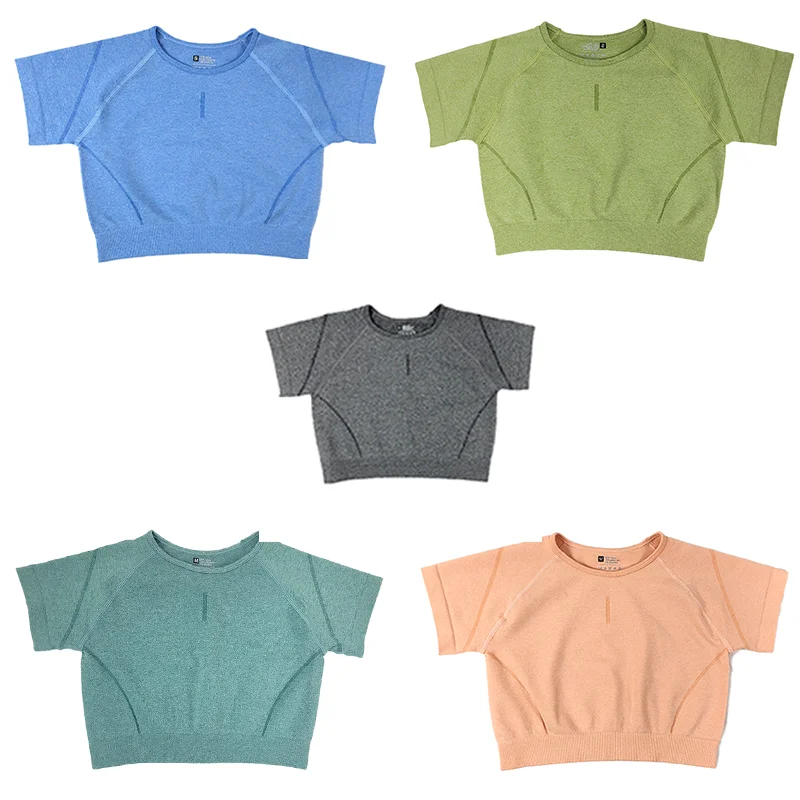 2022 Women's Seamless Yoga Short Sleeve Fitness Clothes Exercise Clothes Sweat Absorbing Breathable Fast Drying Clothes
2022 Women's Seamless Yoga Short Sleeve Fitness Clothes Exercise Clothes Sweat Absorbing Breathable Fast Drying Clothes
