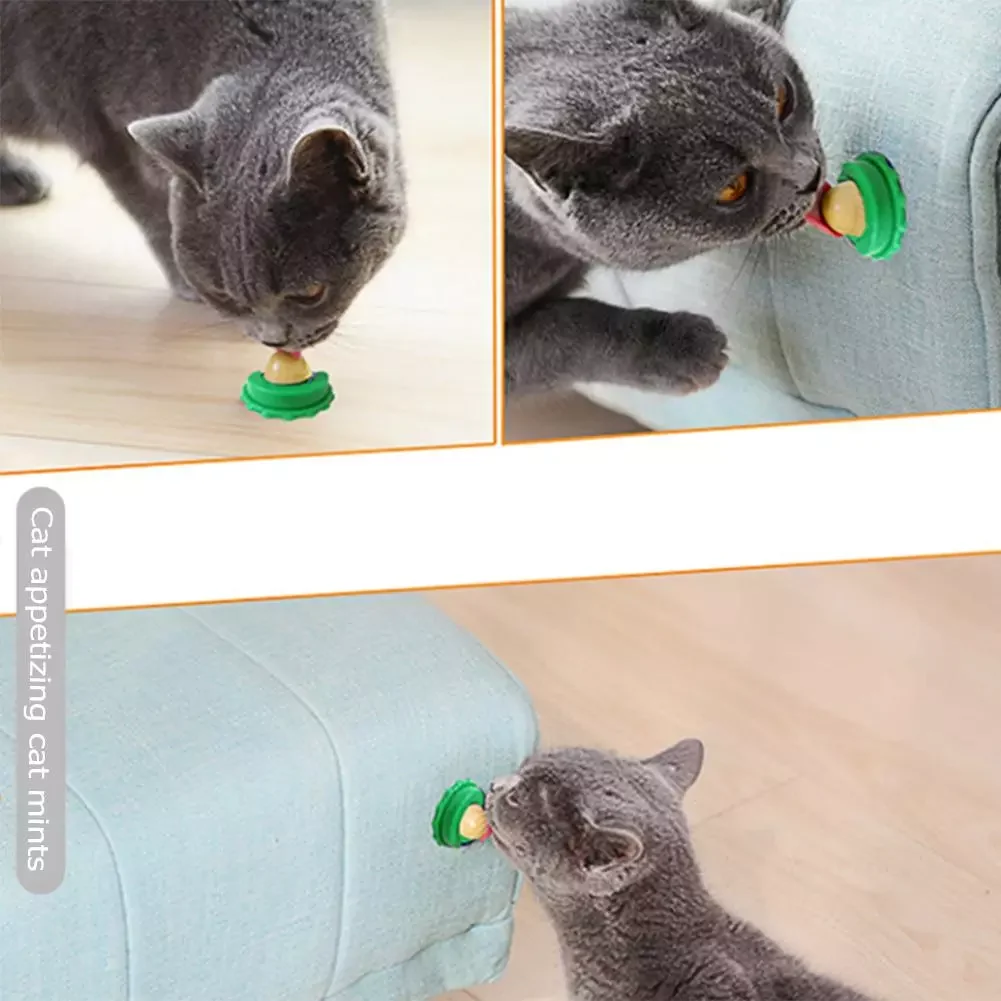 2022New Catnip Sugar Cats Safe Vitamin Snacks Licking Candy Nutrition Energy Ball Toys For Cat Playing Pet Food Cat Products
2022New Catnip Sugar Cats Safe Vitamin Snacks Licking Candy Nutrition Energy Ball Toys For Cat Playing Pet Food Cat Products