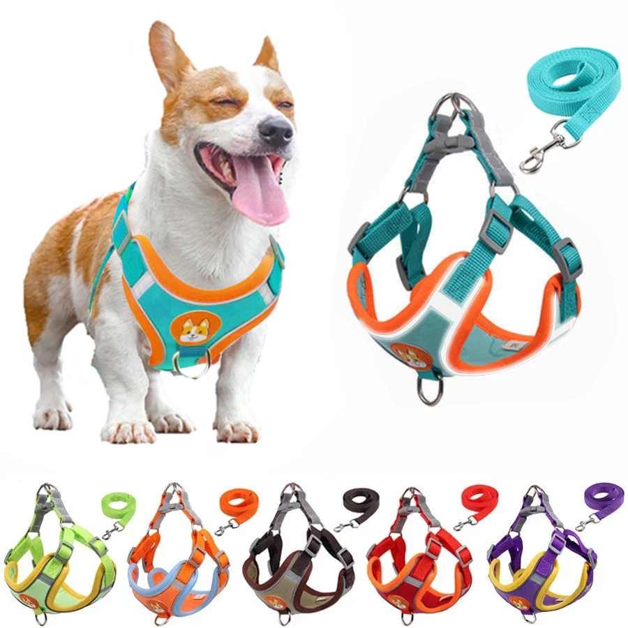 Pet Dog Harness and Leash Set Reflect Light Adjustable Puppy Harness No Pull Outdoors Travel Harness Dog Cute Pet Accessories
Pet Dog Harness and Leash Set Reflect Light Adjustable Puppy Harness No Pull Outdoors Travel Harness Dog Cute Pet Accessories