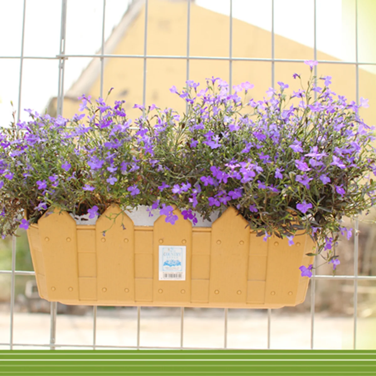 Креативный полимерный забор, настенный подвесной цветочный горшок, комнатный открытый садовый контейнер, подвесной цветочный горшок (желт...
Креативный полимерный забор, настенный подвесной цветочный горшок, комнатный открытый садовый контейнер, подвесной цветочный горшок (желт...