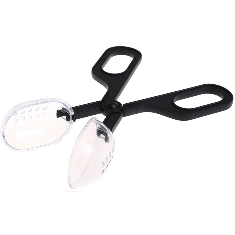 Reptile Supplies Climbing Pet Clips Feeding Reptiles Insect Breeding Worm Clips 1PCS
Reptile Supplies Climbing Pet Clips Feeding Reptiles Insect Breeding Worm Clips 1PCS
