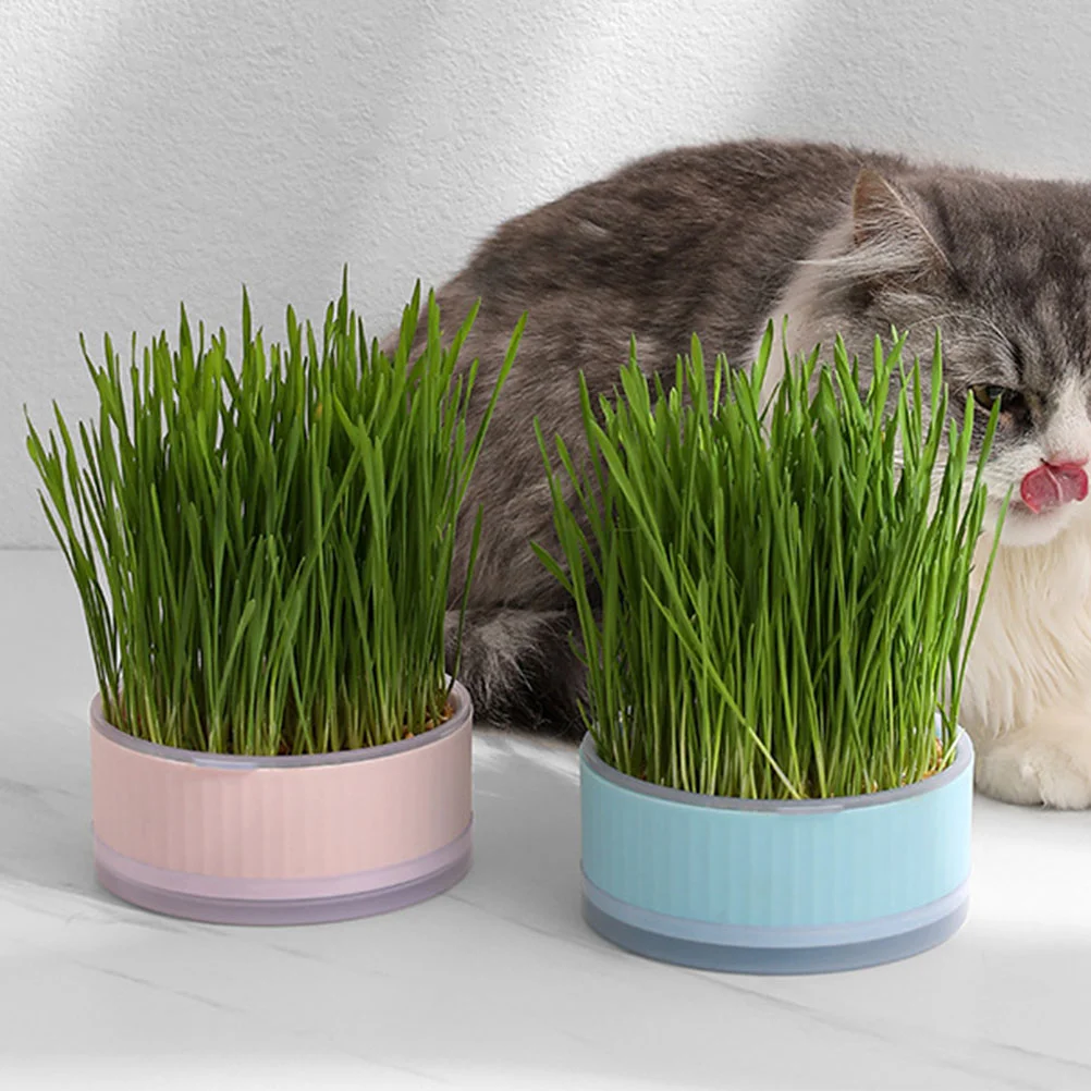 Planting Box Practical Cat Grass Planter Soilless Nursery Hydroponic Pet Home Pot
Planting Box Practical Cat Grass Planter Soilless Nursery Hydroponic Pet Home Pot