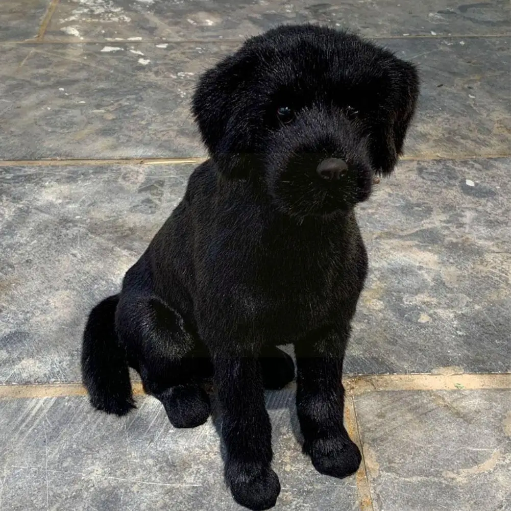 Realistic Labrador Dog Plush Toys Simulation Lovely Children Gifts Kawaii Lifelike Stuffed Animals Dolls Cute Funny Toys Fo J9s2
Realistic Labrador Dog Plush Toys Simulation Lovely Children Gifts Kawaii Lifelike Stuffed Animals Dolls Cute Funny Toys Fo J9s2