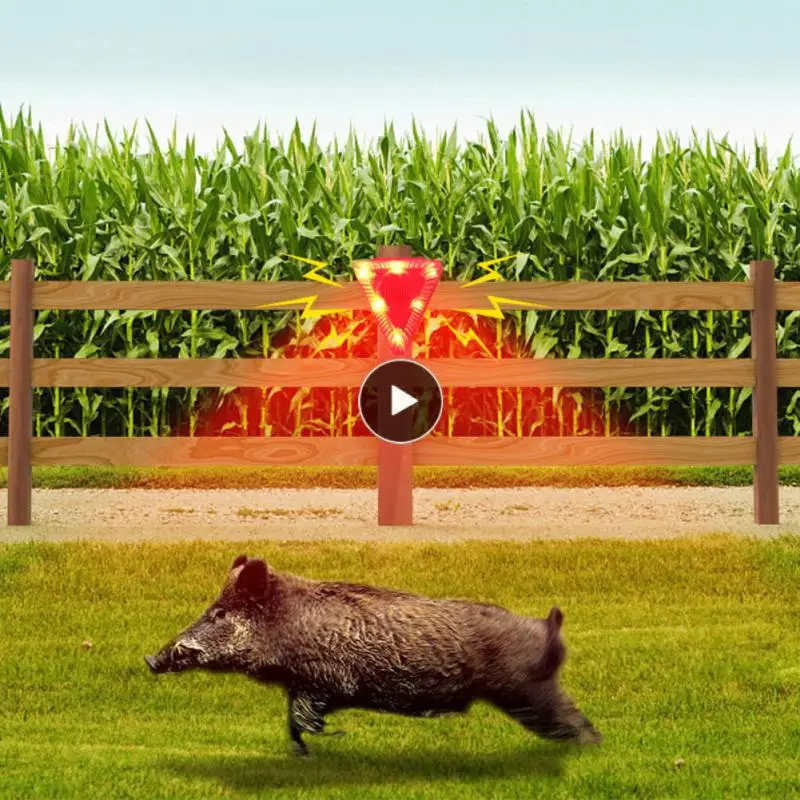Light Alarm 6 Flashing Red Leds Safe Animal Repellent Light Drive Away Wild Animals Animal Repellent Alarm Alarm Siren Solar
Light Alarm 6 Flashing Red Leds Safe Animal Repellent Light Drive Away Wild Animals Animal Repellent Alarm Alarm Siren Solar