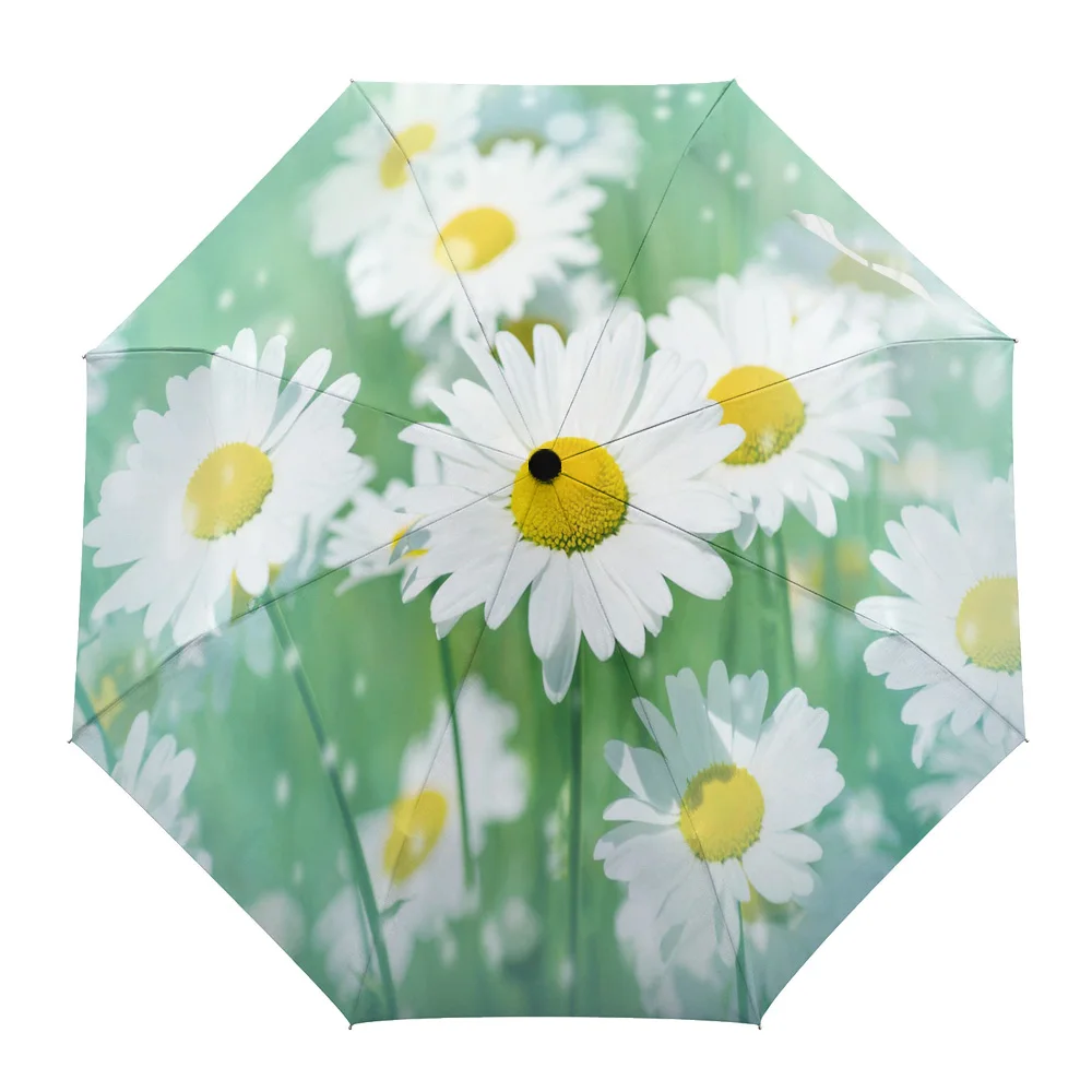 Daisy Fresh And Beautiful Summer Umbrella for Outdoor Fully-automatic Folding Eight Strands Umbrellas for Kids Printed Umbrella
Daisy Fresh And Beautiful Summer Umbrella for Outdoor Fully-automatic Folding Eight Strands Umbrellas for Kids Printed Umbrella