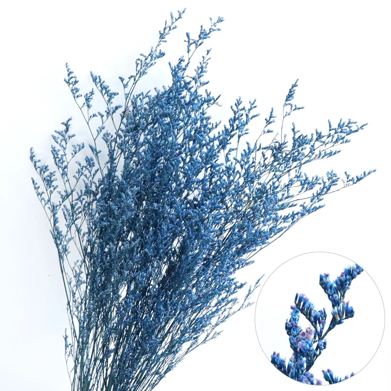 Beautiful Multicolor Misty Blue Bleached Diy Lover Grass Natural Real Preserved Flower Bouquet Home Decoration 90-100g
Beautiful Multicolor Misty Blue Bleached Diy Lover Grass Natural Real Preserved Flower Bouquet Home Decoration 90-100g