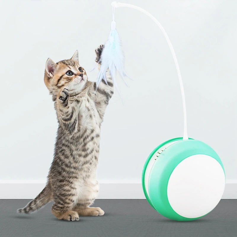 Tumbler Swing Toys for Cats Kitten Interactive Balance Car Cat Chasing Toy With Catnip Funny Pet Products W
Tumbler Swing Toys for Cats Kitten Interactive Balance Car Cat Chasing Toy With Catnip Funny Pet Products W