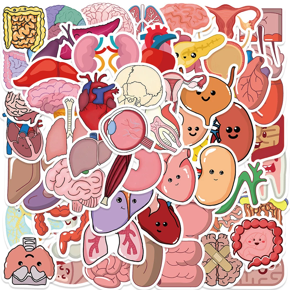 10/30/65pcs Cartoon Human Body Organ Stickers Waterproof Decals Laptop Notebook Phone Car Luggage Decoration Sticker Kids Toy
10/30/65pcs Cartoon Human Body Organ Stickers Waterproof Decals Laptop Notebook Phone Car Luggage Decoration Sticker Kids Toy