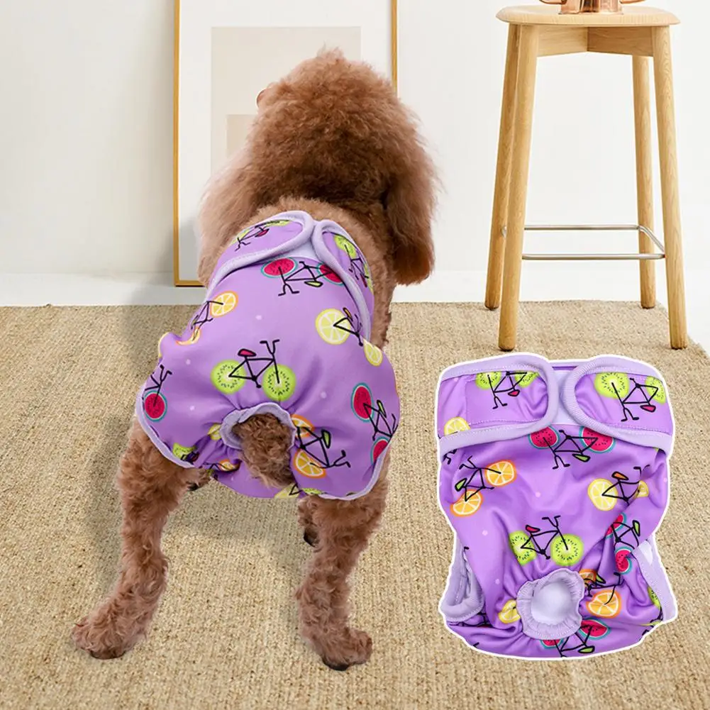 Practical Fastener Tape Convenient Cartoon Fruit Printing Pet Dog Safety Pants Strong Absorption Pet Panties for Estrus
Practical Fastener Tape Convenient Cartoon Fruit Printing Pet Dog Safety Pants Strong Absorption Pet Panties for Estrus