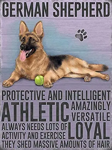 Shepherd Dog Puppy Pet Animal Lover Wall Decor Retro Poster Plaque Metal Tin Sign Wall Decor for Kitchen Bar Pub Farm House
Shepherd Dog Puppy Pet Animal Lover Wall Decor Retro Poster Plaque Metal Tin Sign Wall Decor for Kitchen Bar Pub Farm House