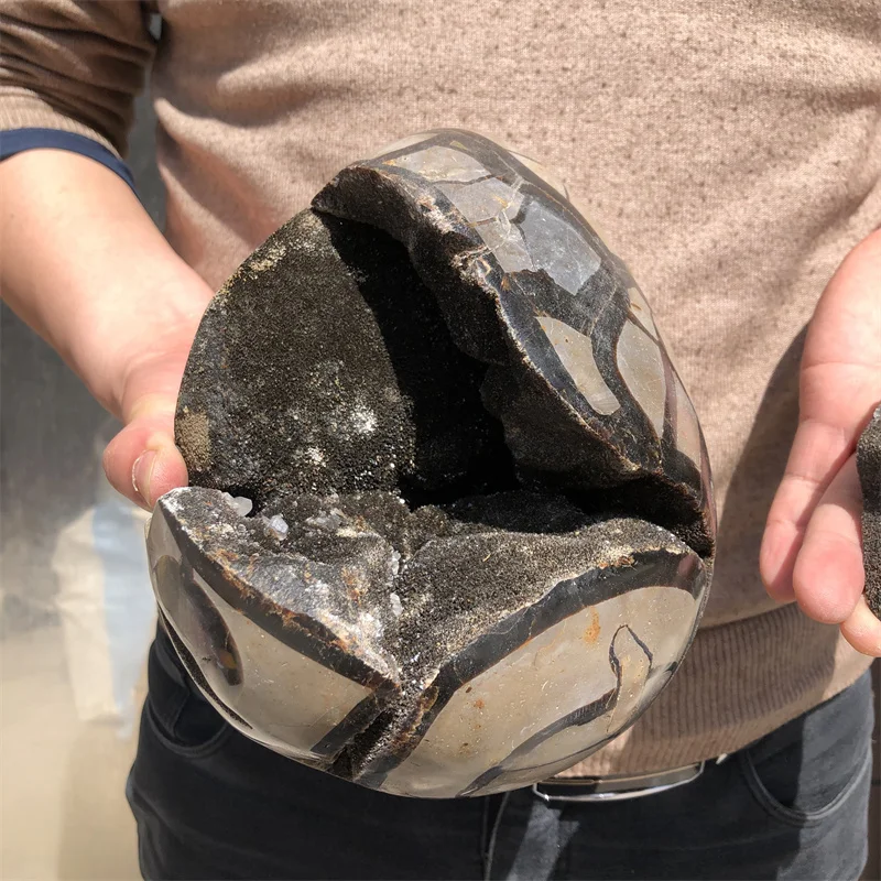 4.3kg Natural curvature of the furnishing articles Turtle grain stone egg Ball Septarian nodule Crystal Healing quartz
4.3kg Natural curvature of the furnishing articles Turtle grain stone egg Ball Septarian nodule Crystal Healing quartz