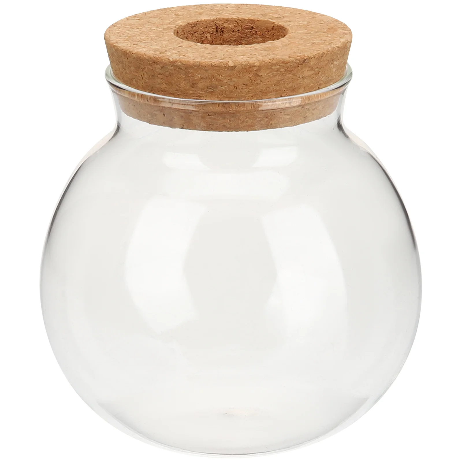 Vase Hydroponic Planter Terrarium Flower Propagation Bubble Air Tabletop Tube Station Arrangement Water Holder Table Centerpiece
Vase Hydroponic Planter Terrarium Flower Propagation Bubble Air Tabletop Tube Station Arrangement Water Holder Table Centerpiece